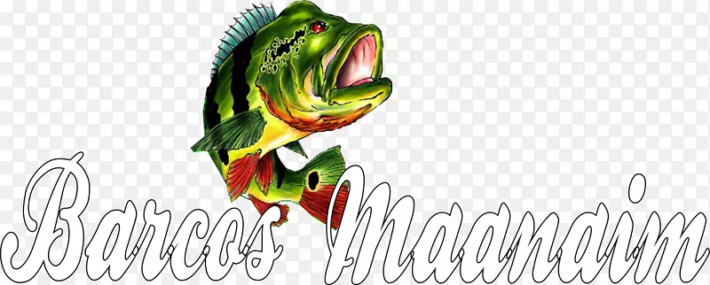 脊椎动物插图标志图形设计字体-peixe pintado rio