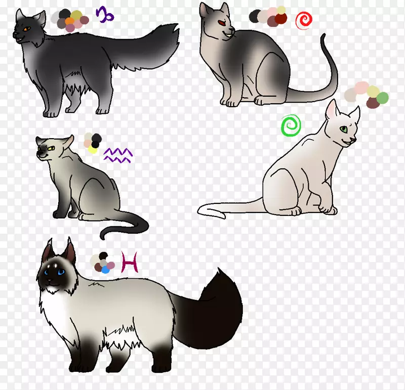 猫须狗猫夹艺术-小猫