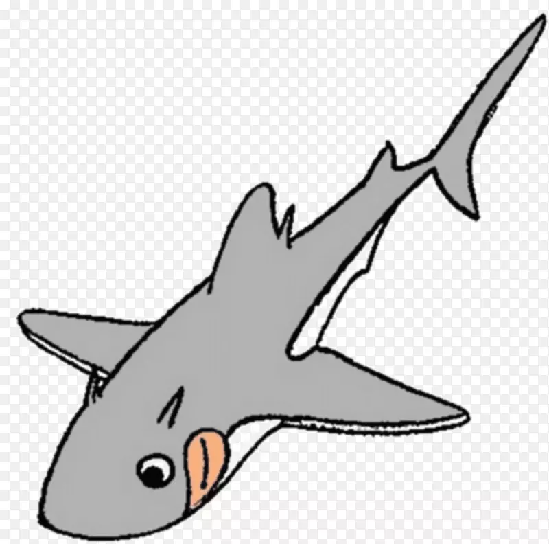 鲨鱼剪贴画海洋
