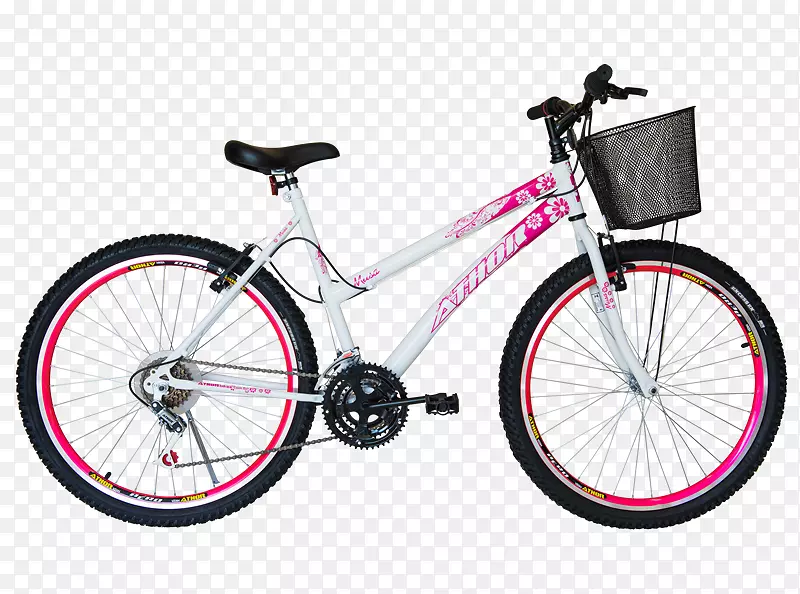 自行车架山地自行车FIRI a v.富士自行车-自行车
