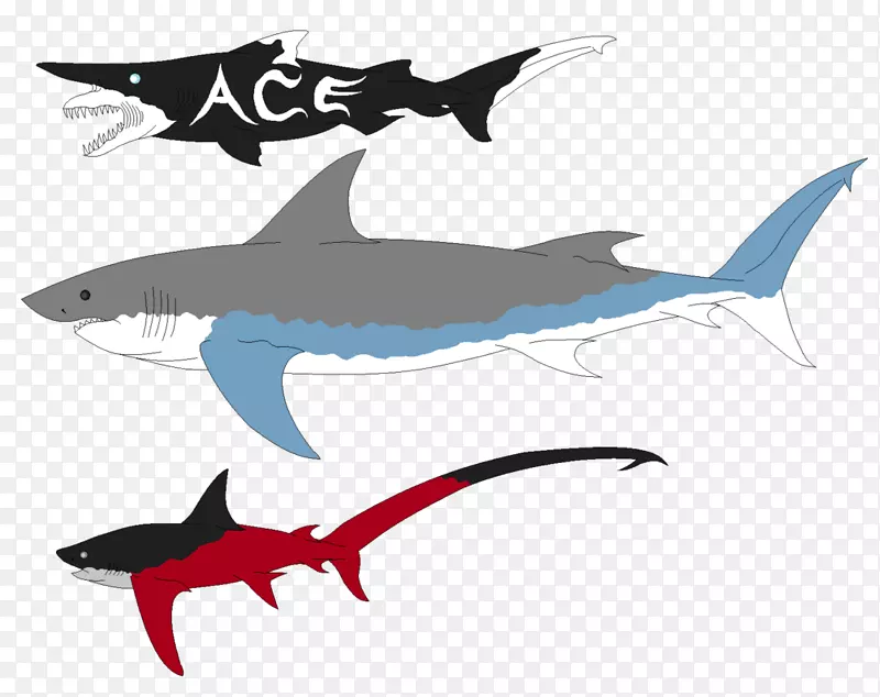 安魂利姆鲨鱼，大白鲨，巨鲨，妖精鲨-鲨鱼