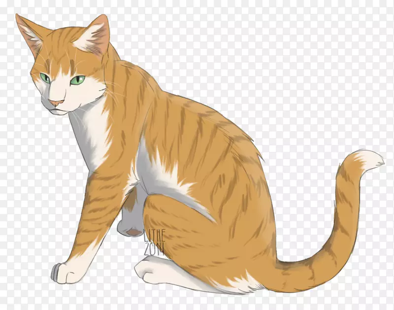 胡须猫国内短毛猫野猫科拉特-战士猫画
