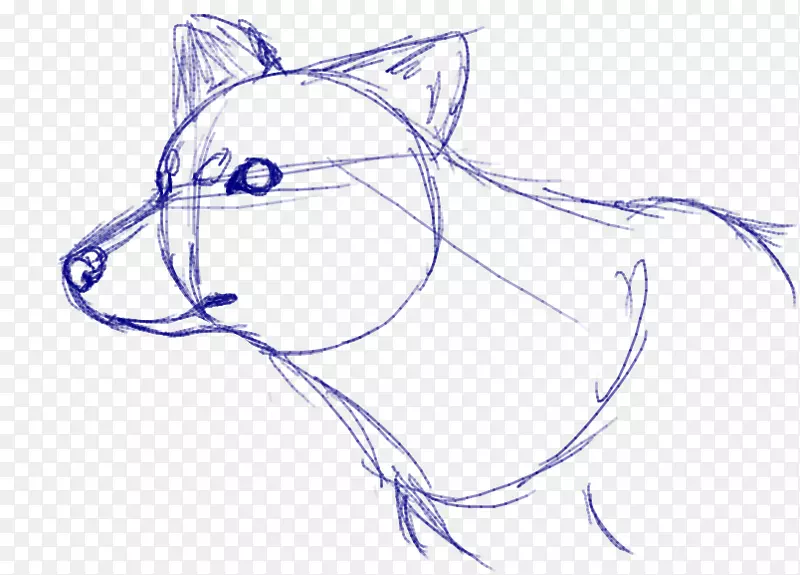 素描食肉动物插图画耳朵-不可能的狼动画