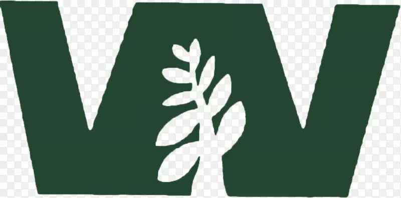 西草坪园林有限公司云杉林标志设计字体-雪露草坪护理标志设计理念