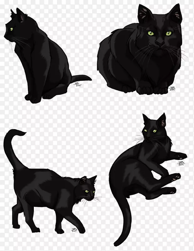 黑猫图形宠物图像