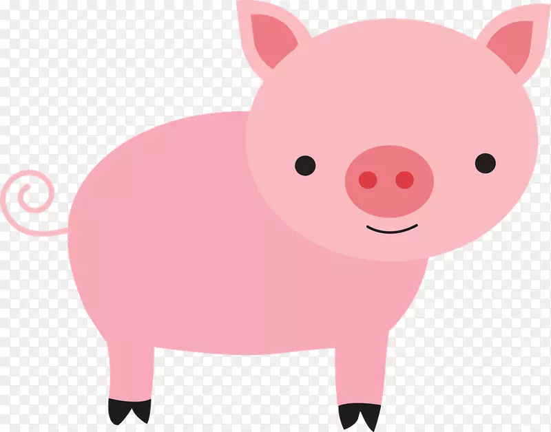 猪夹艺术粉红鼻子-猪