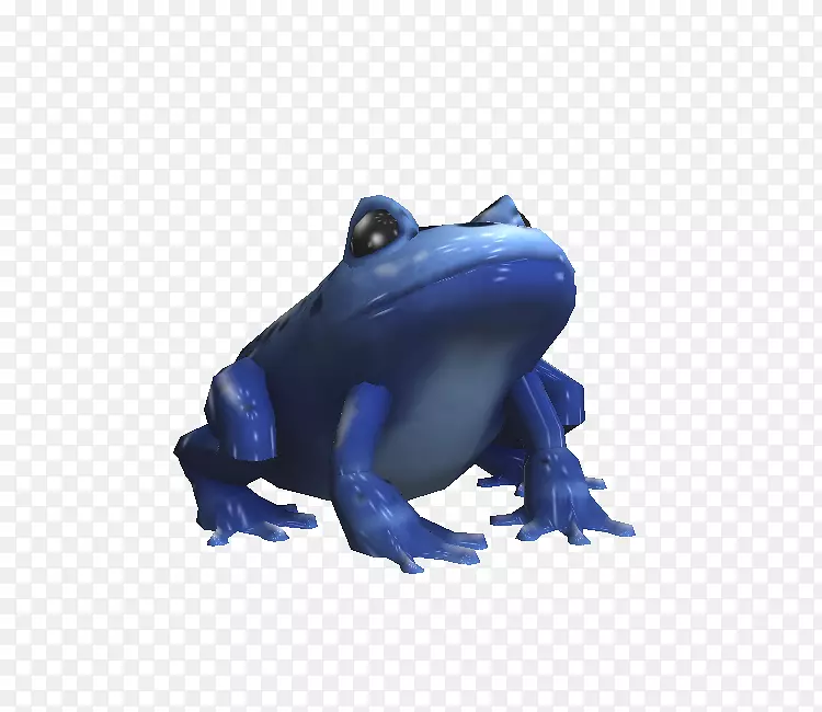 真蛙树蛙钴蓝蛙