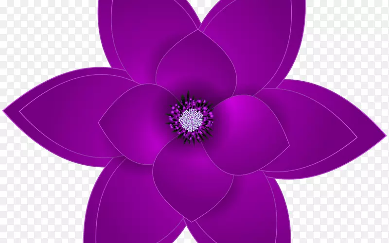 剪贴画花瓣图案紫罗兰-紫色彩虹玫瑰