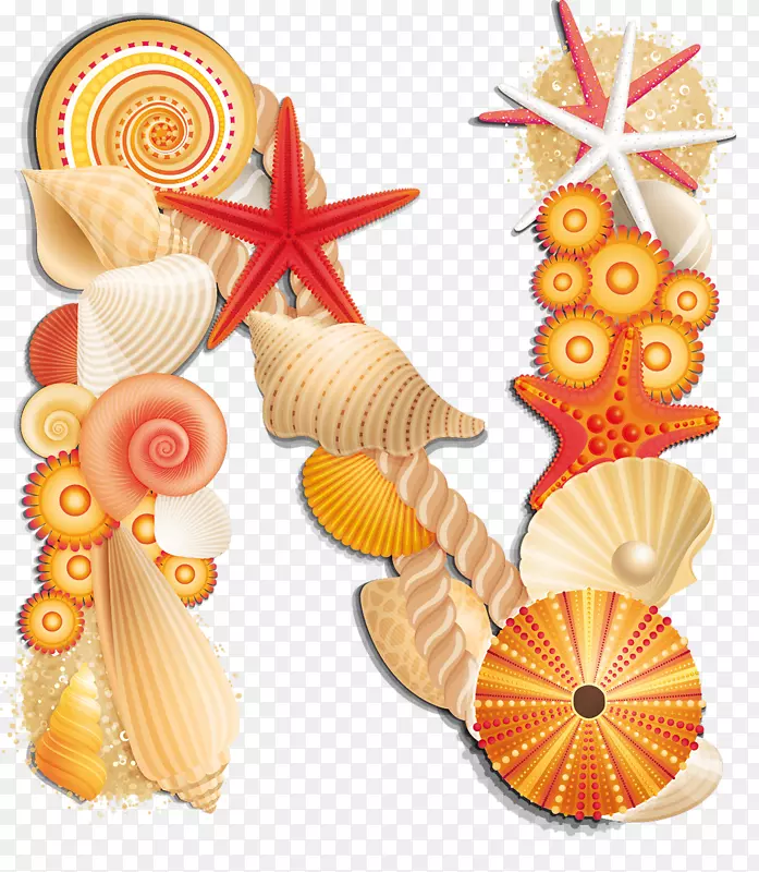 沙滩字母表贝壳夹艺术-海滩