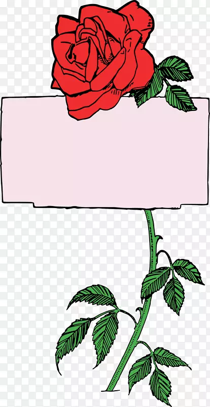 剪贴画花园玫瑰花边框开放部分花卉设计-玫瑰