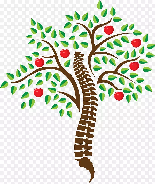 脊椎病剪贴术脊柱图像设计.樱桃树