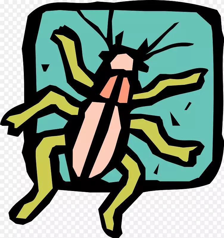 剪贴画图形昆虫文件格式昆虫