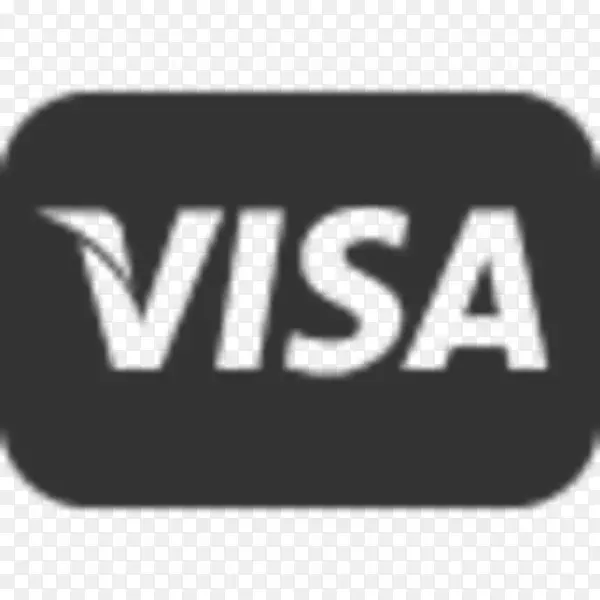 徽标计算机图标VISA图形黑色签证