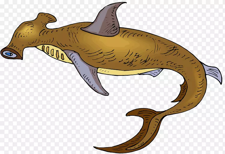 大白鲨剪贴画公牛鲨锤头鲨