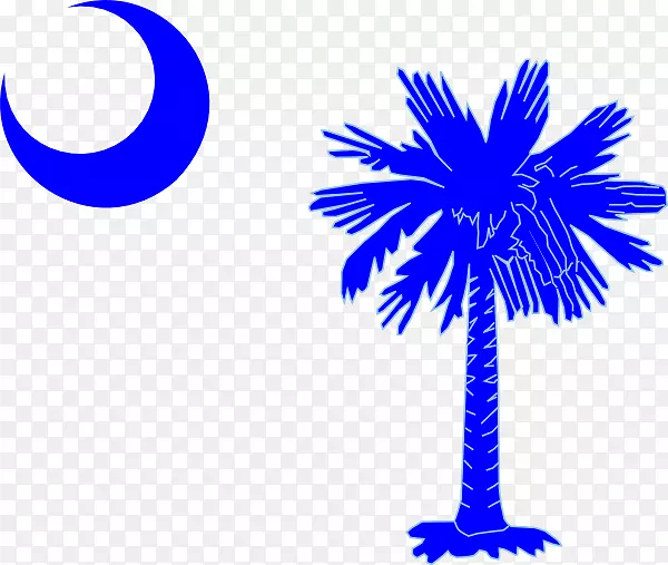 南卡罗莱纳州查尔斯顿岛家族医学旗帜乔纳森·萨克，马德克克利夫学校-粉红色树