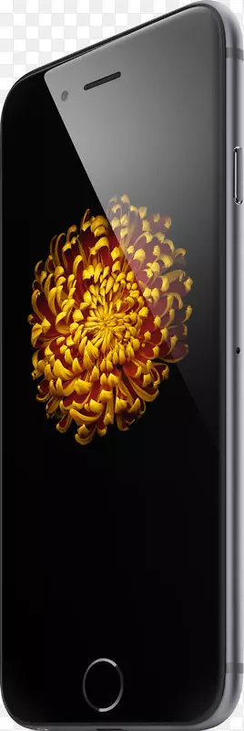 iphone 6加上视网膜显示设备电脑监控苹果收钱