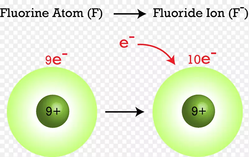 氟原子电子离子电荷中性钠原子