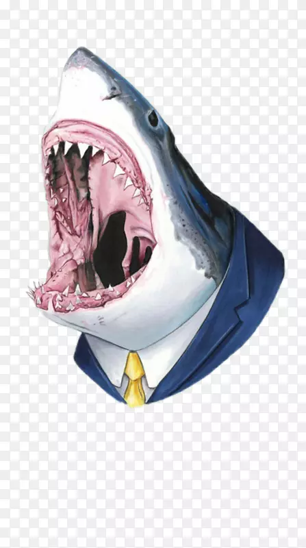 鲨鱼攻击大白鲨牙齿-鲨鱼