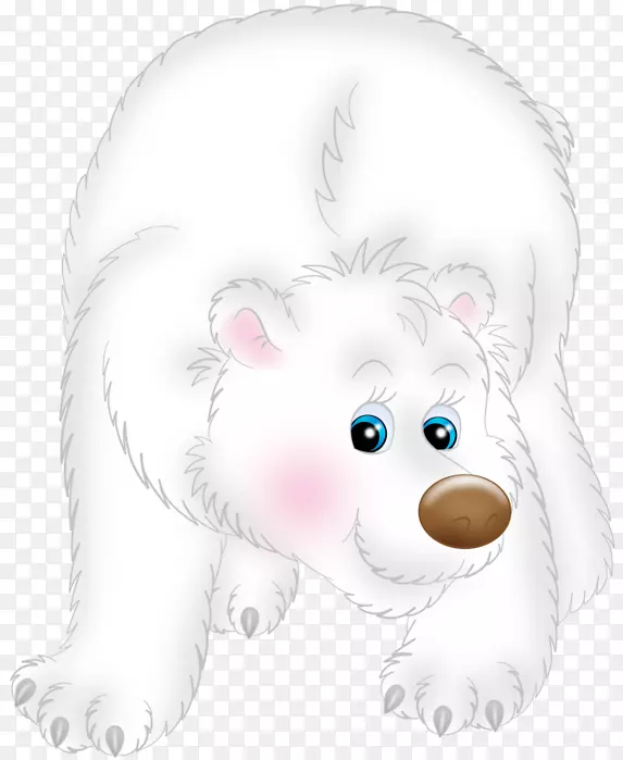 剪贴画北极熊幼犬须-熊