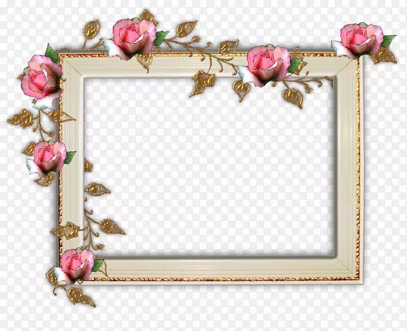 移动式网络图形花园玫瑰花数码相框-玫瑰