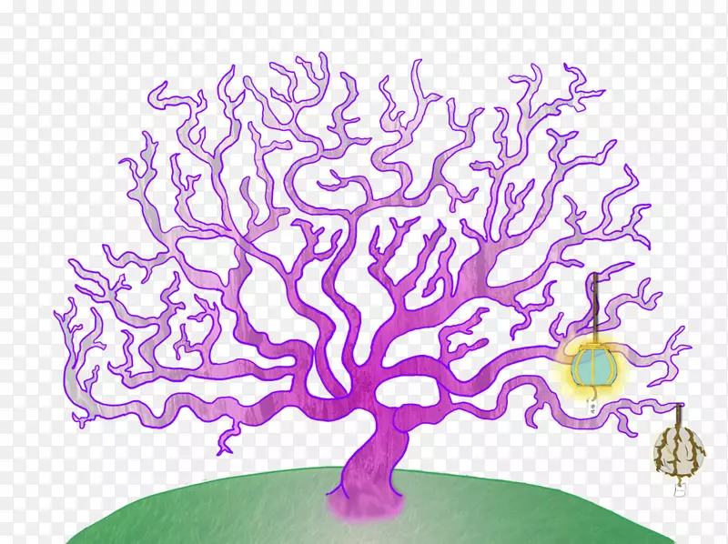 图示紫色开花植物-许愿树