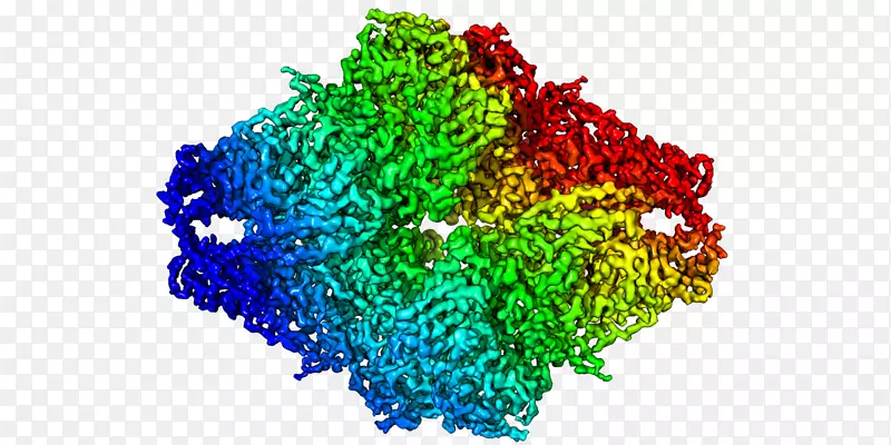 低温电子显微镜β-半乳糖苷酶电子显微镜蛋白质透射电镜金原子图
