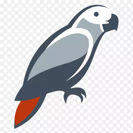 鹦鹉夹艺术喙动物鹰-鹦鹉