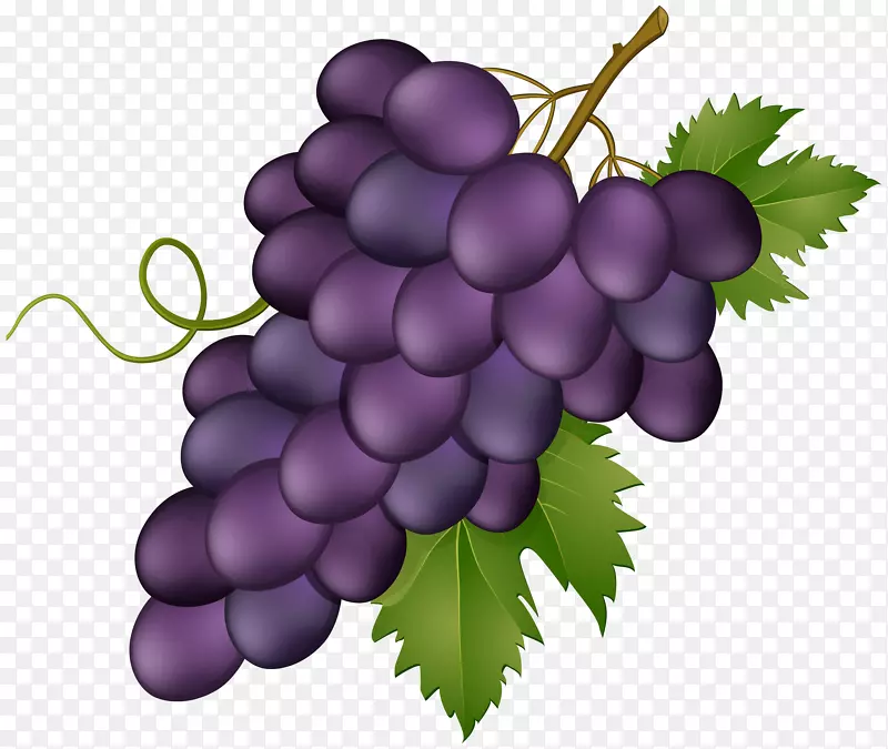 葡萄夹艺术图像葡萄酒png图片.葡萄