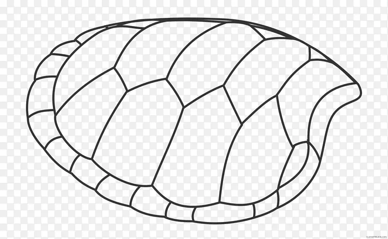 绿海龟剪贴画爬行动物图形-海龟