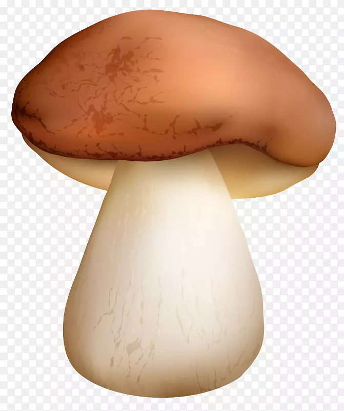 普通蘑菇小包png图片剪辑艺术牛肝菌