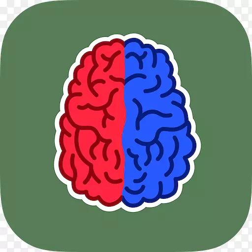 左对右：脑训练、认知训练、脑功能偏侧化、脑运动-脑