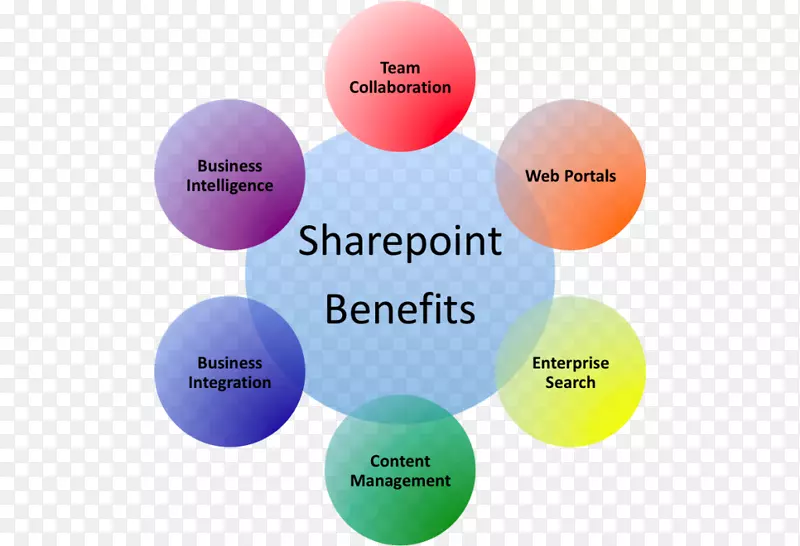 SharePoint 2010微软公司SharePoint Online Business-Business