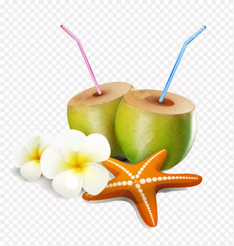 椰子水夹艺术插图图.椰子