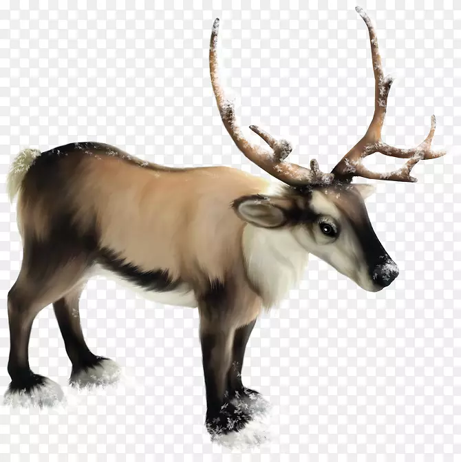 驯鹿剪贴画圣诞老人png图片.驯鹿