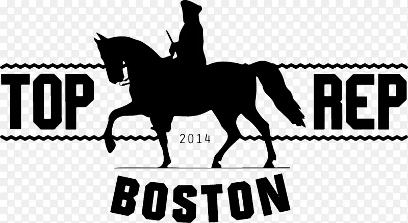 波士顿野马-你听到什么标志-野马？