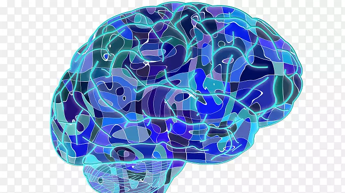 脑机器学习神经系统无意识思维神经科学-脑科学技术