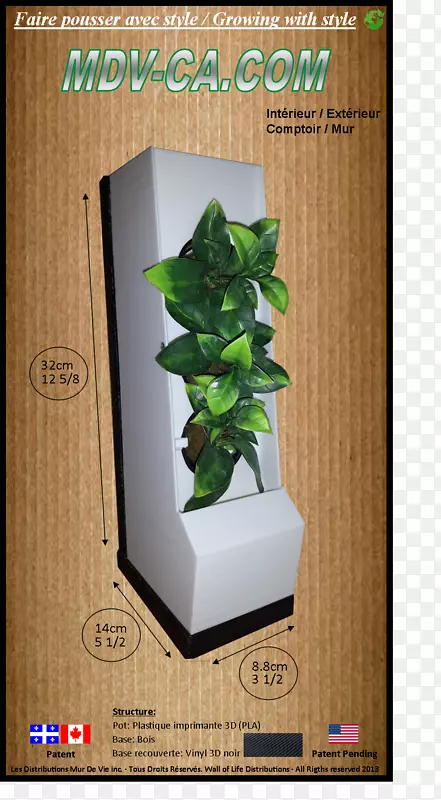 花盆室内植物叶草本植物短信.墙壁植物