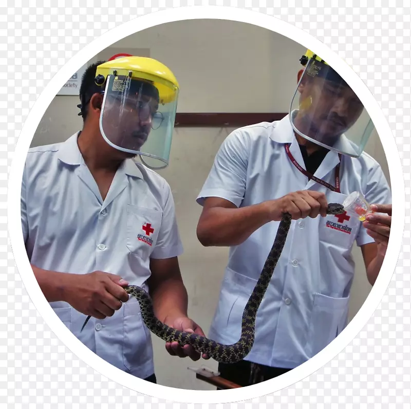 头盔服务个人防护装备产品-国际红十字志愿者