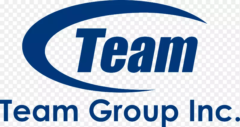 LOGO Team Group Inc.组织固态驱动品牌-下一代911标志