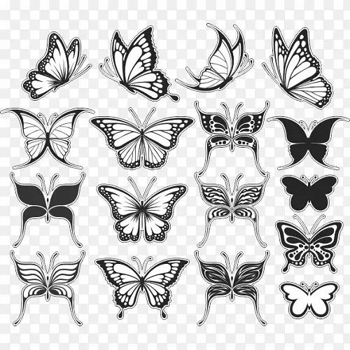 蝴蝶纹身夹艺术绘画纹身艺术家-蝴蝶