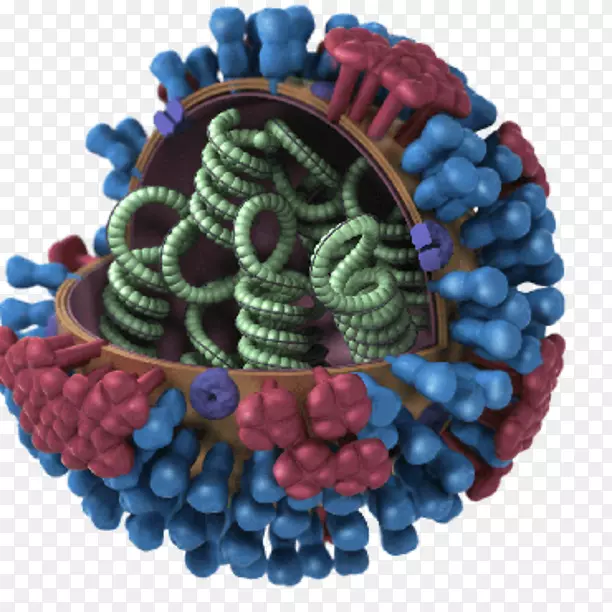 2009年流感大流行甲型流感病毒H3N2亚型猪流感