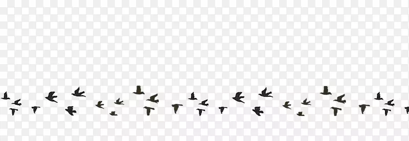 鸟类迁移线点字体