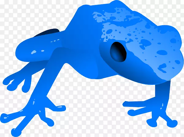 蓝色毒蛙夹金毒蛙-青蛙