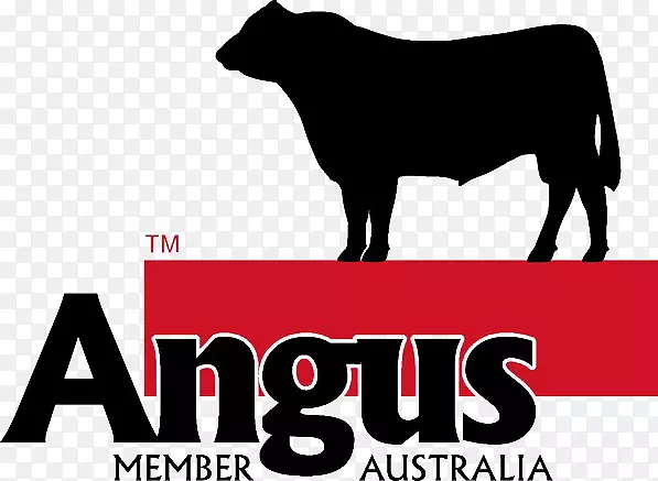 安格斯牛标志牛场安格斯澳大利亚-安格斯