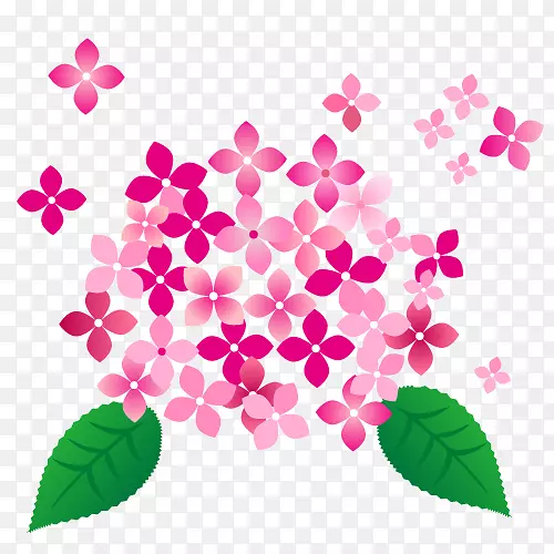 粉红色绣球花
