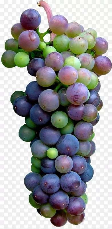 苏大拿葡萄无核水果食品剪贴画-葡萄