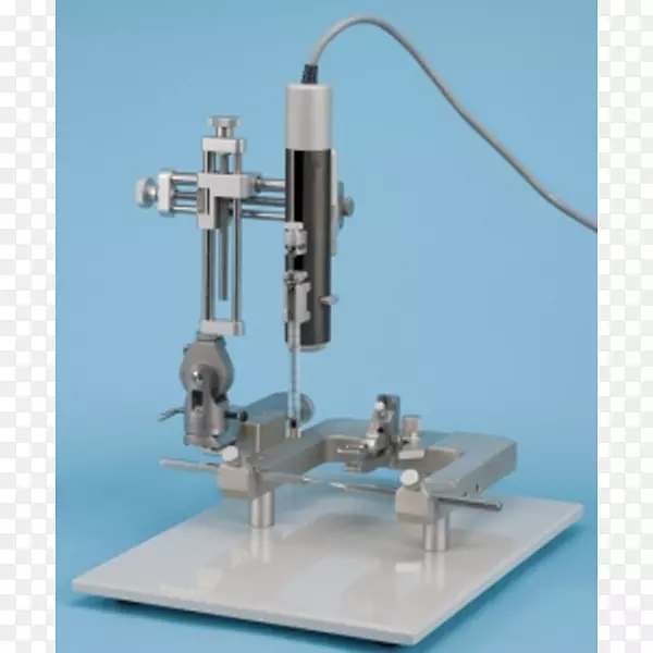 立体定向手术动物脑注射生理学-脑
