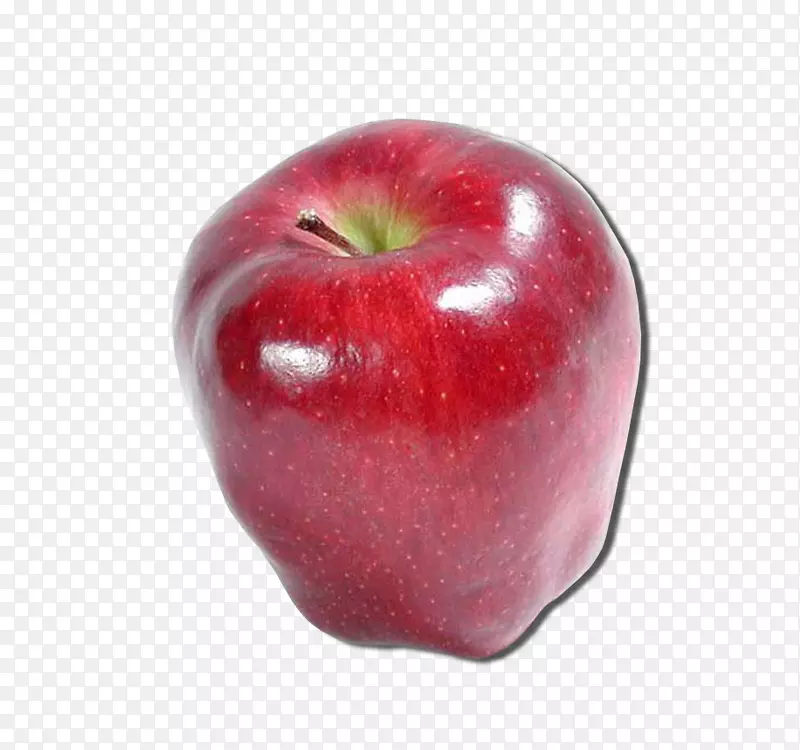 苹果苹果树种子世界2018年-苹果