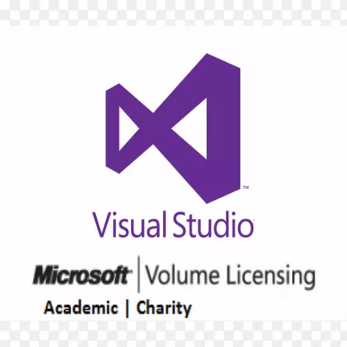 Microsoft visual studio Professional 2017-无限用户微软公司徽标品牌产品设计-工作室标识
