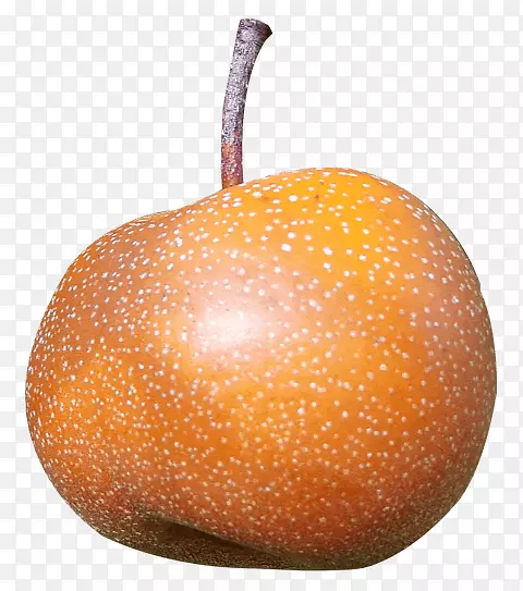 金门橘子亚洲梨png图片剪辑艺术-葡萄柚